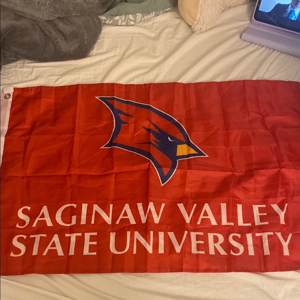 Saginaw Valley State University Flag